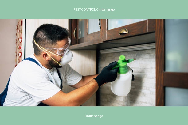 PEST CONTROL Chittenango